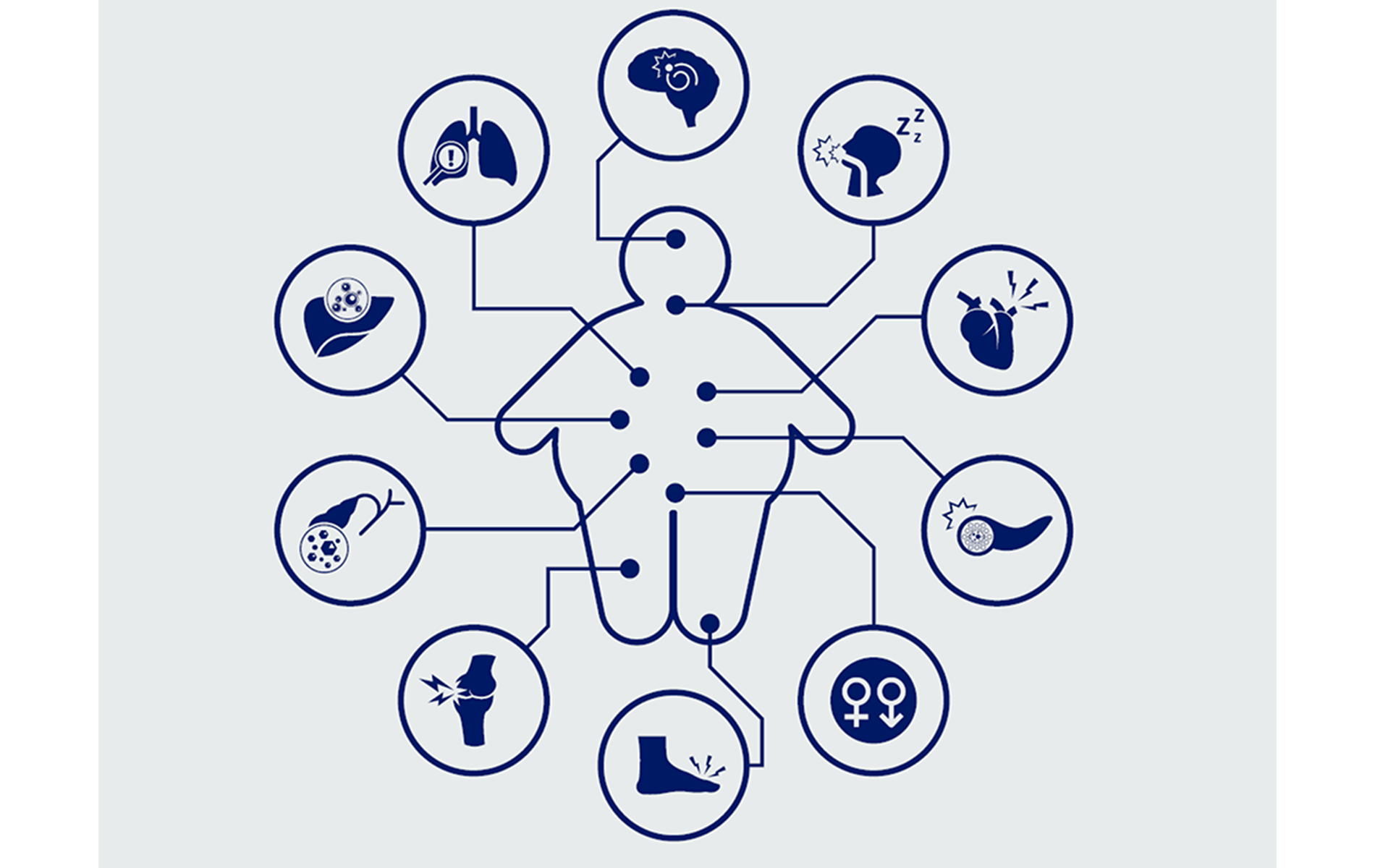 metabolism